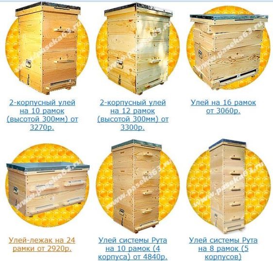 Бизнес на пасеке: как заработать на пчелах